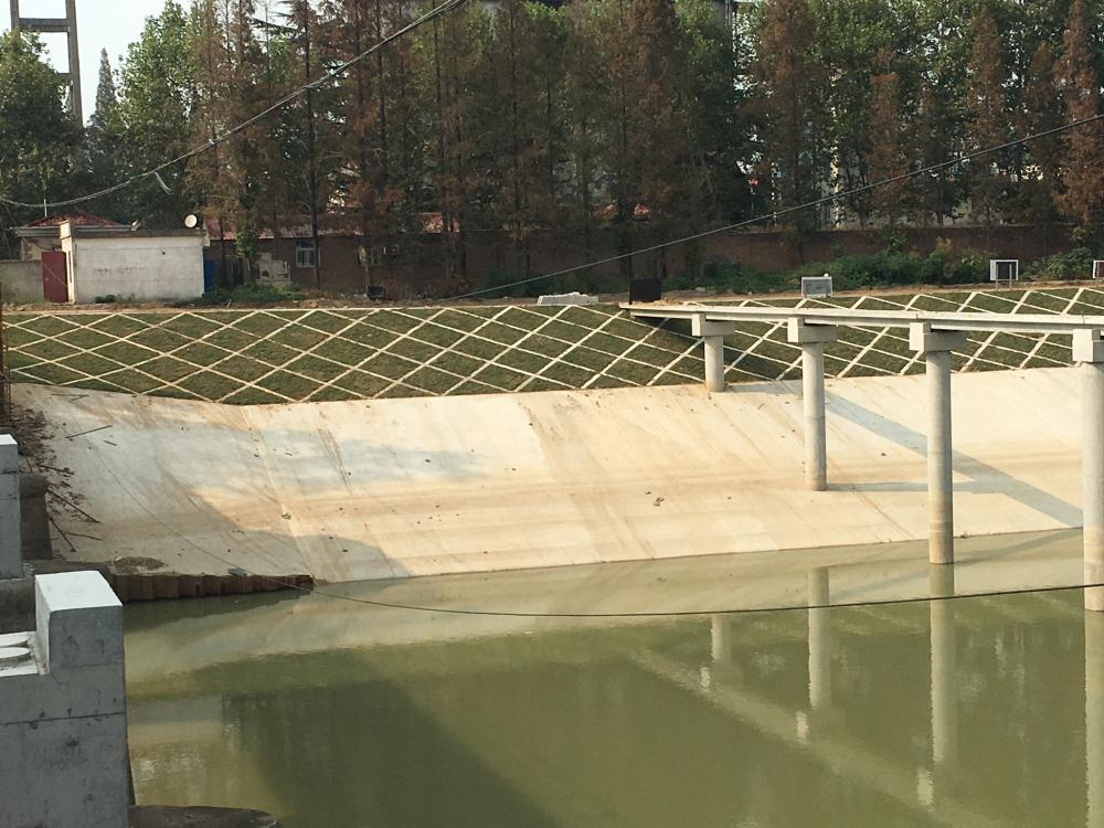 1542010680126195.jpg 1542010680126195.jpg